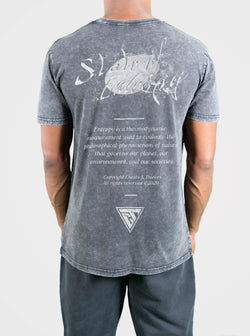 State of entropy T-shirt - Stone Wash